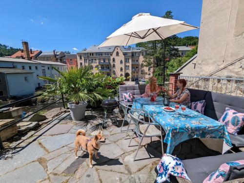 Appartement Flussblickwohnung mit Terrasse, Pool, Garten&Sauna - Zi2 26 Hertigswalder Straße Sebnitz