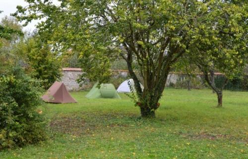 Fontaineblhostel hostel & camping near Fontainebleau La Chapelle-la-Reine france