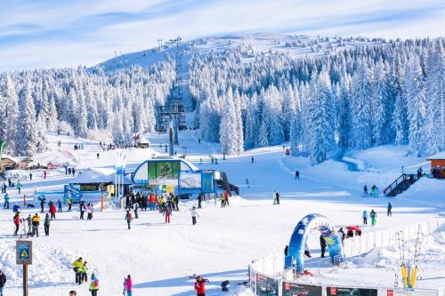 Forest View Apartments in Winterberg Sauerland Medebach allemagne