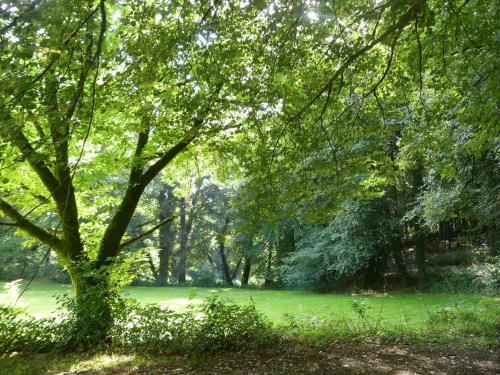 FORET TOTEM Persquen france