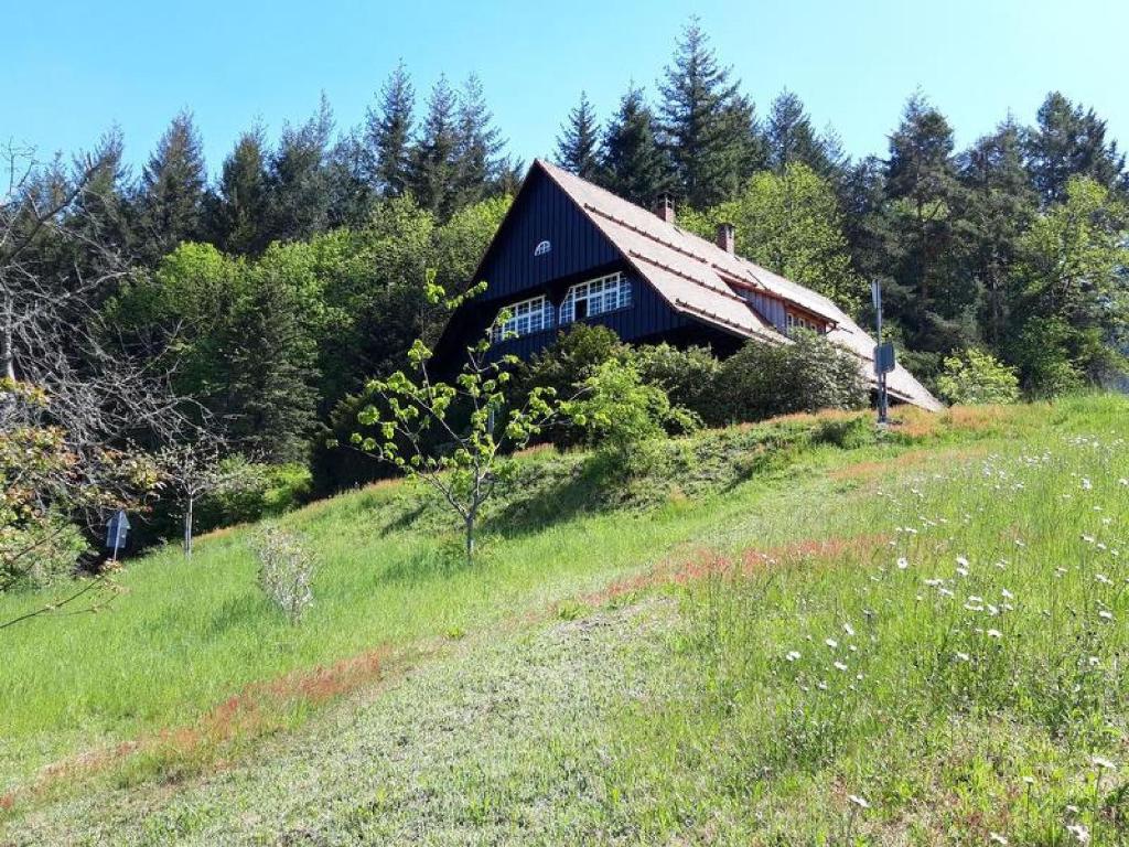 Appartement Försterhaus Wolfsbrunnen 1 Schwarzenkopfstraße, 77889 Seebach