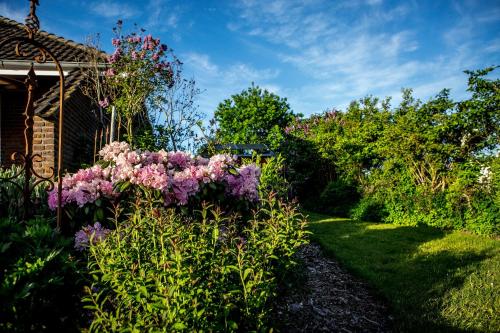 Freesenkoog Koldenbüttel allemagne