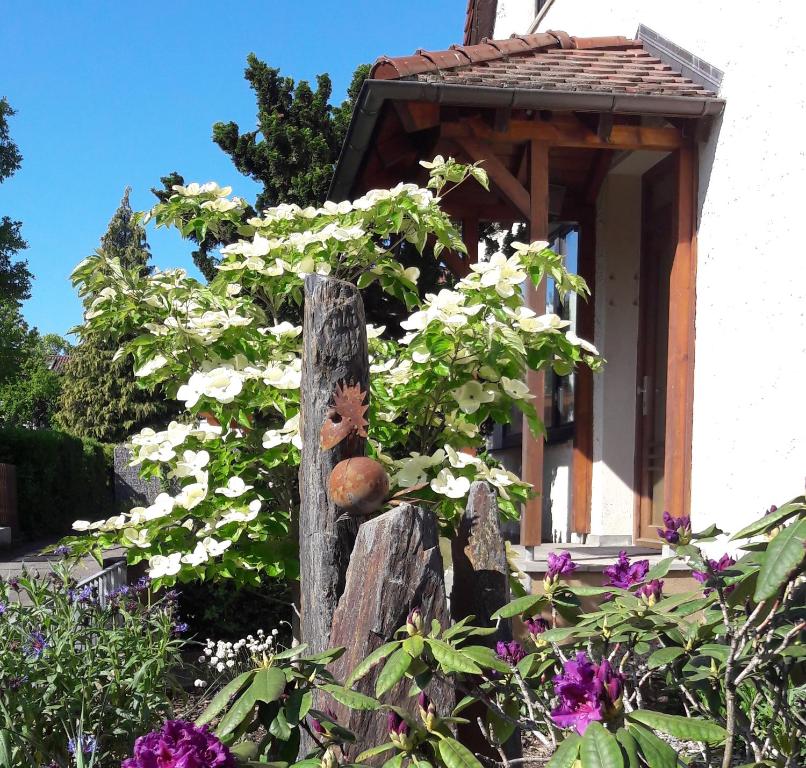 Séjour chez l'habitant Fremdenzimmer Familie Förster Belchenstraße 7, 78054 Villingen-Schwenningen