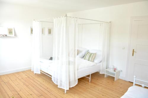 frigg flats I Scandi InteriorI JugendstilI Altbau Landshut allemagne