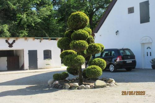 Appartement Frisch renovierte Ferienwohnung auf idyllischem Pferdehof 4 Martensreihe Erdgeschoss Beverstedt
