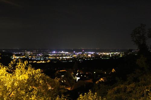 Maison de vacances Fritsch Häusel 45 Eichkehle Neustadt an der Weinstraße