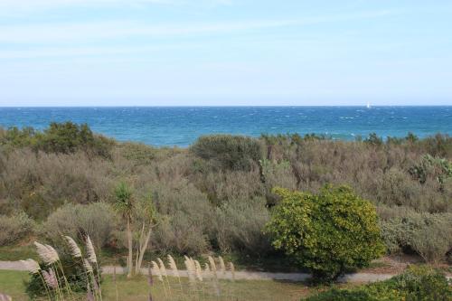 Front de mer pour ce t2 dans résidence avec piscine collective -4TRO94 Saint-Cyprien Plage france