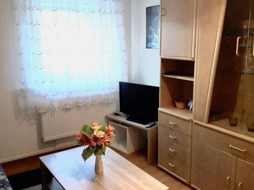 Appartement Fully equipped holiday apartment in the Fichtelgebirge  Arzberg