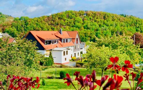 fun4all-holidayhome Medebach allemagne