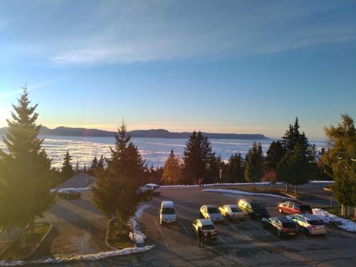 Appartement Galerie Roche Beranger « Le doux Chalet » 478 Avenue du Père Tassé Chamrousse