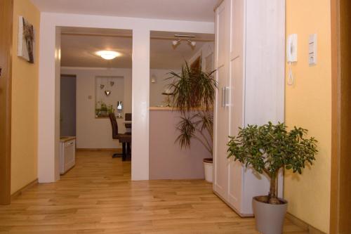 Appartement Gallowayhof am Edersee 17 Mühlenstraße Vöhl