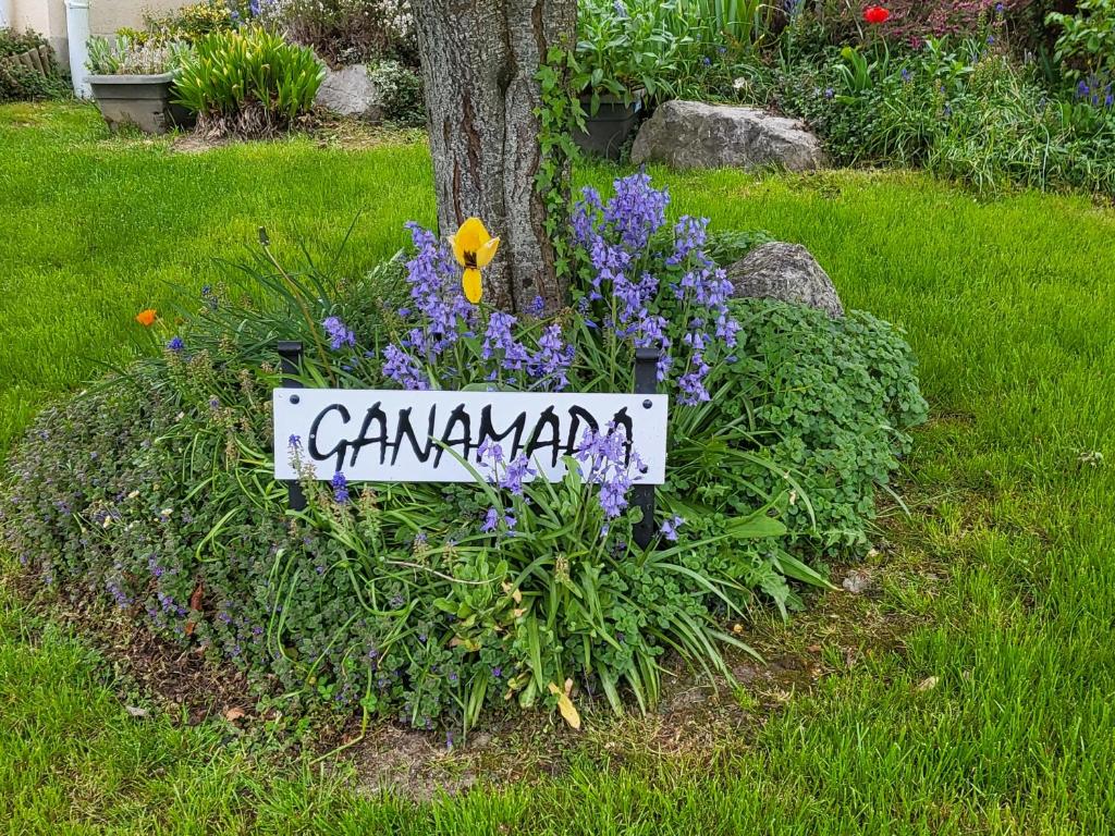 Séjour chez l'habitant Ganamapa 54 Impasse du Bout de Haut, 62155 Merlimont