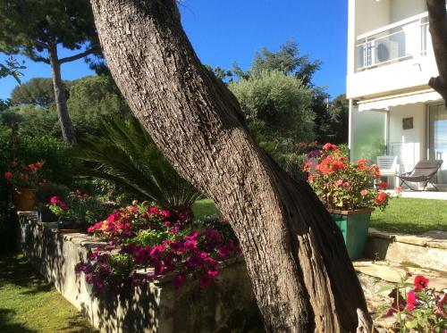 Appartement Garden Cap D'Antibes LES ALGUES 1145 Boulevard de la Garoupe Antibes