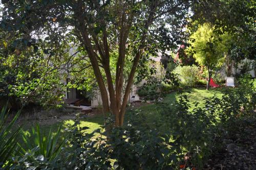 Garden in the City Silves portugal