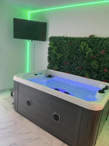 Appartement Garden Suite Cocooning, Jacuzzi, 2 pers, WiFi 64 Allée Pierre Lescot Montpellier