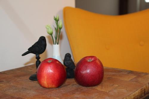 Appartement GartenGlück 142 Cuxhavener Straße Erdgeschoss Nordleda