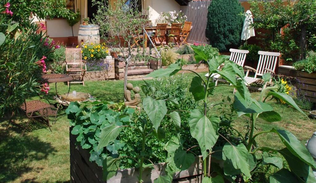 Appartement Gartenhaus am Weinberg 13A In den Hainbuchen, 76833 Böchingen