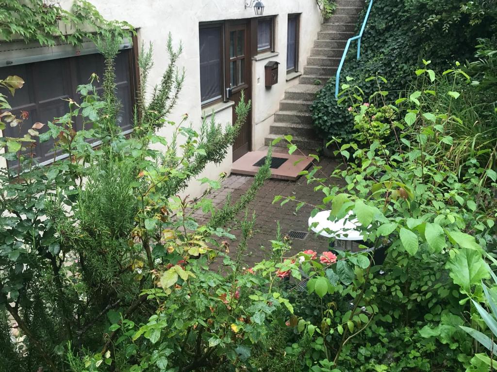 Appartement Gartenwohnung 34 Am Rebberg, 79194 Gundelfingen