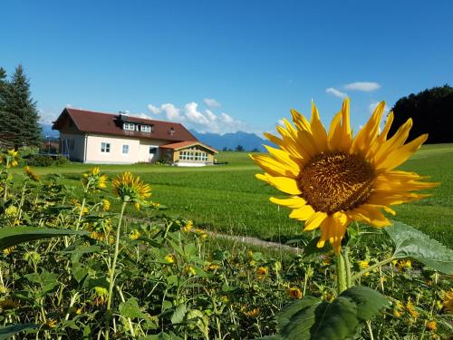 Séjour à la ferme Gästehaus Annemarie Hötzelsberg 2 Rimsting