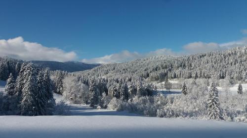 Gästehaus Behabühl B&B Feldberg allemagne