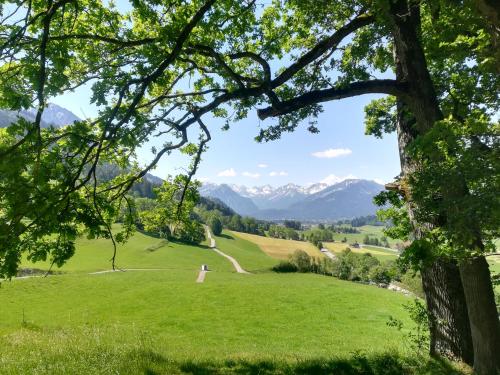 Appartements Gästehaus Dornach Mühlenstraße 4 Oberstdorf