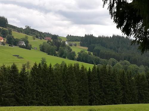 Maison d'hôtes Gästehaus Forsthaus Täle Schwärzenbach 21 Titisee-Neustadt