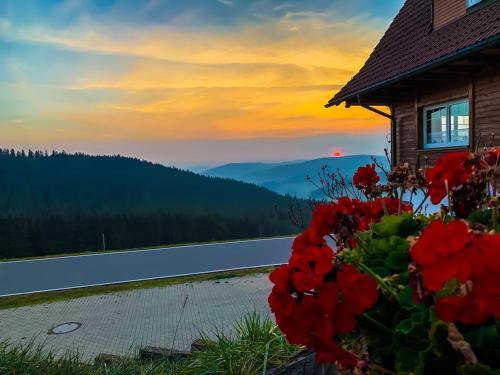 Gästehaus Forsthaus Täle Titisee-Neustadt allemagne