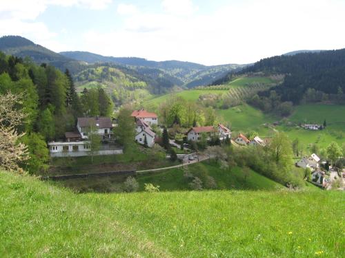 Maison d'hôtes Gästehaus Gerda Freiersbach 19 Bad Peterstal-Griesbach