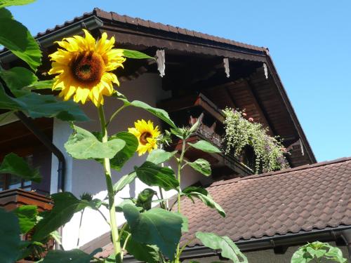 Gästehaus Gouiaa Bischofswiesen allemagne