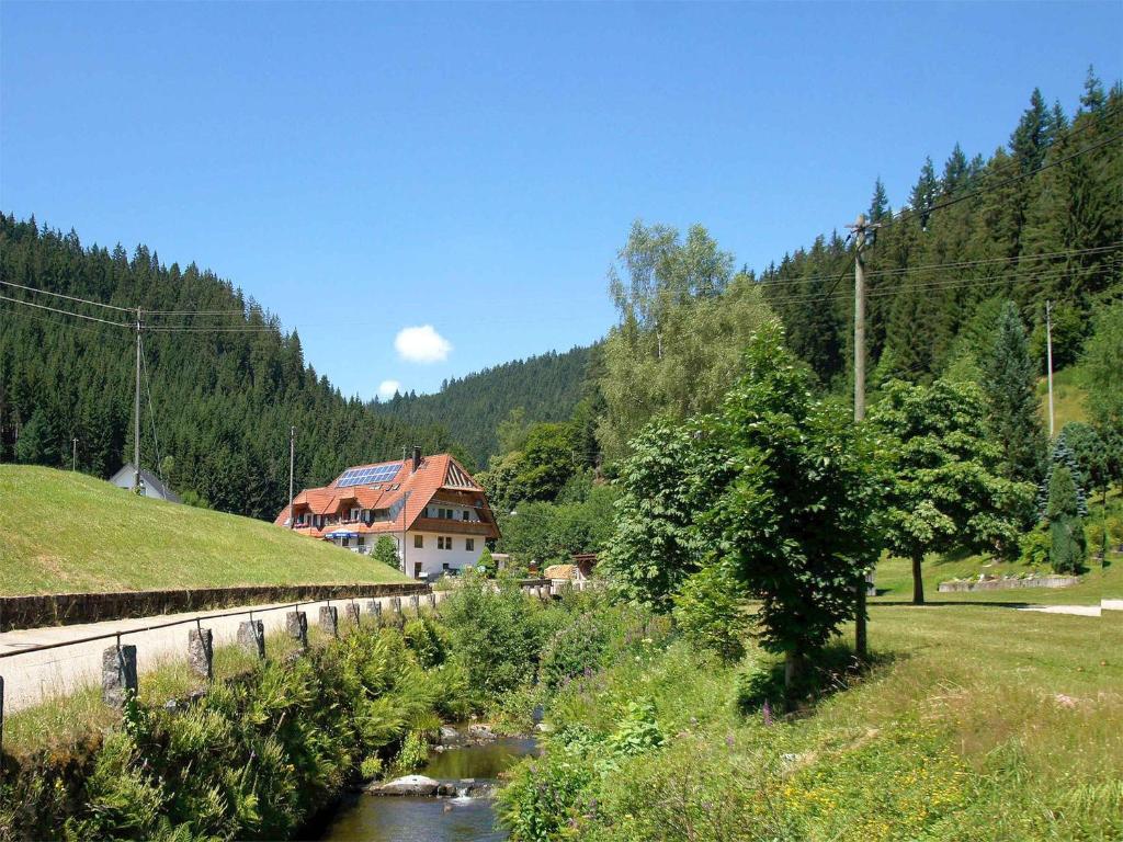 Maison d'hôtes Gästehaus Herrmann Holzwaldstraße 15, 77776 Bad Rippoldsau-Schapbach