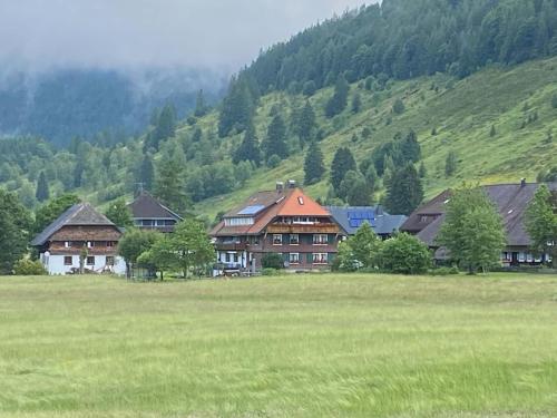 Maison d'hôtes Gästehaus Kaiser Hinterdorfstr. 55 Menzenschwand