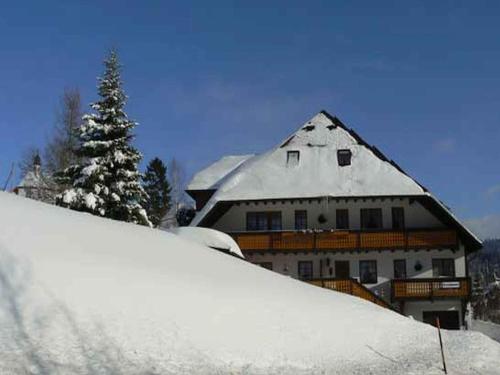 Appartements Gästehaus Klingele Am Skilift 4 Todtmoos