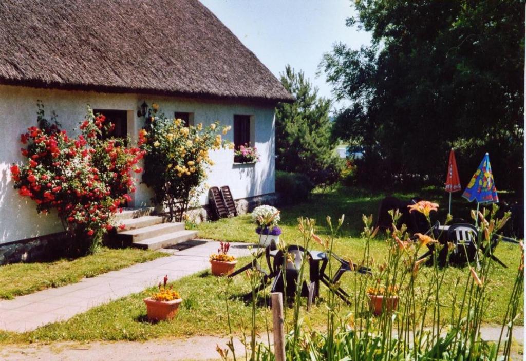 Appartements Gästehaus Looks 6 Dörpstrat, 18586 Thiessow