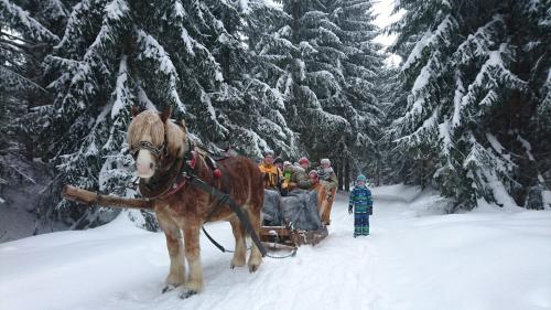 Maison de vacances Gästehaus Meierbaude Alter Schulweg 11 Rehefeld-Zaunhaus Kurort Altenberg