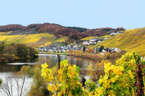 Gästehaus Petra Ürzig allemagne