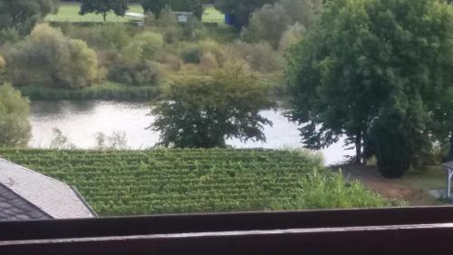 Maison d'hôtes Gästehaus-Weingut Michael Scholer Moselweinstrasse 17 Schleich