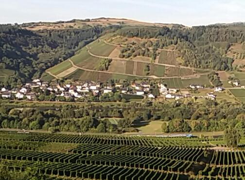 Maison d'hôtes Gästehaus-Weingut Michael Scholer Moselweinstrasse 17, 54340 Schleich