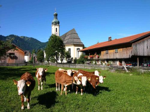 Gästehaus Weissenbauer Lenggries allemagne