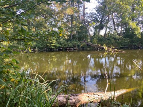 Gästesuite „Torfstich“ Markische Heide allemagne