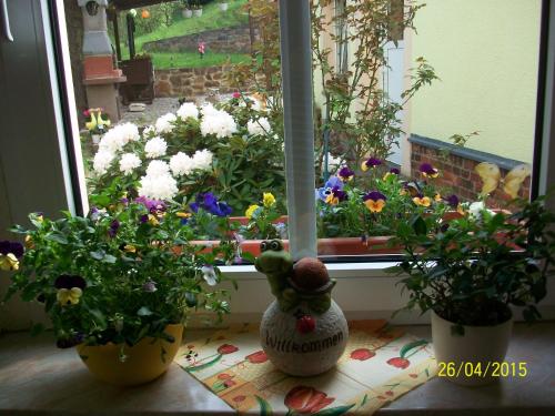 Séjour chez l'habitant Gästewohnung in Döbeln 22 Oschatzer Strasse Döbeln