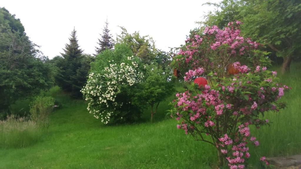 Séjour chez l'habitant Gästewohnung in Döbeln 22 Oschatzer Strasse, 04720 Döbeln