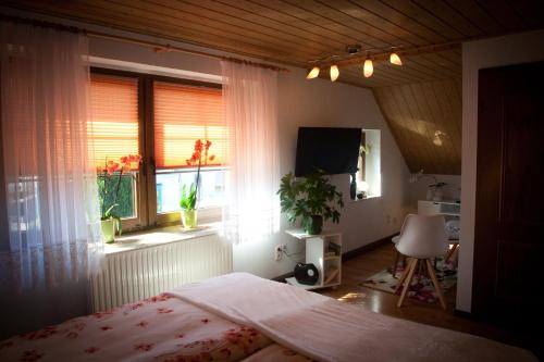 Séjour chez l'habitant Gästezimmer im Grünen Haus 22 Greifensteinstraße Thum