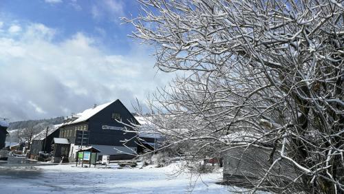 Gasthaus & Pension Am Rennsteig Spechtsbrunn allemagne