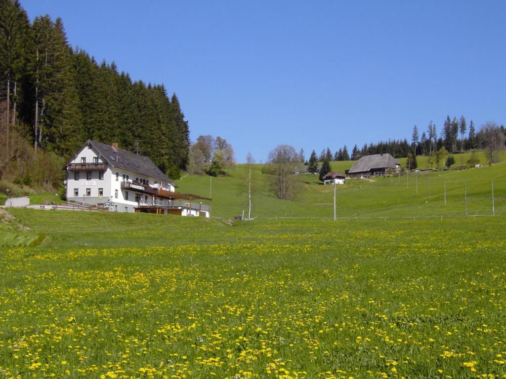 Maison d'hôtes Gasthaus Pension Donishäusle Schwärzenbach 5a, 79822 Titisee-Neustadt