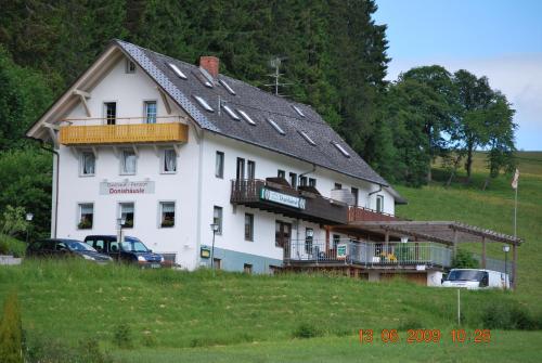 Gasthaus Pension Donishäusle Titisee-Neustadt allemagne