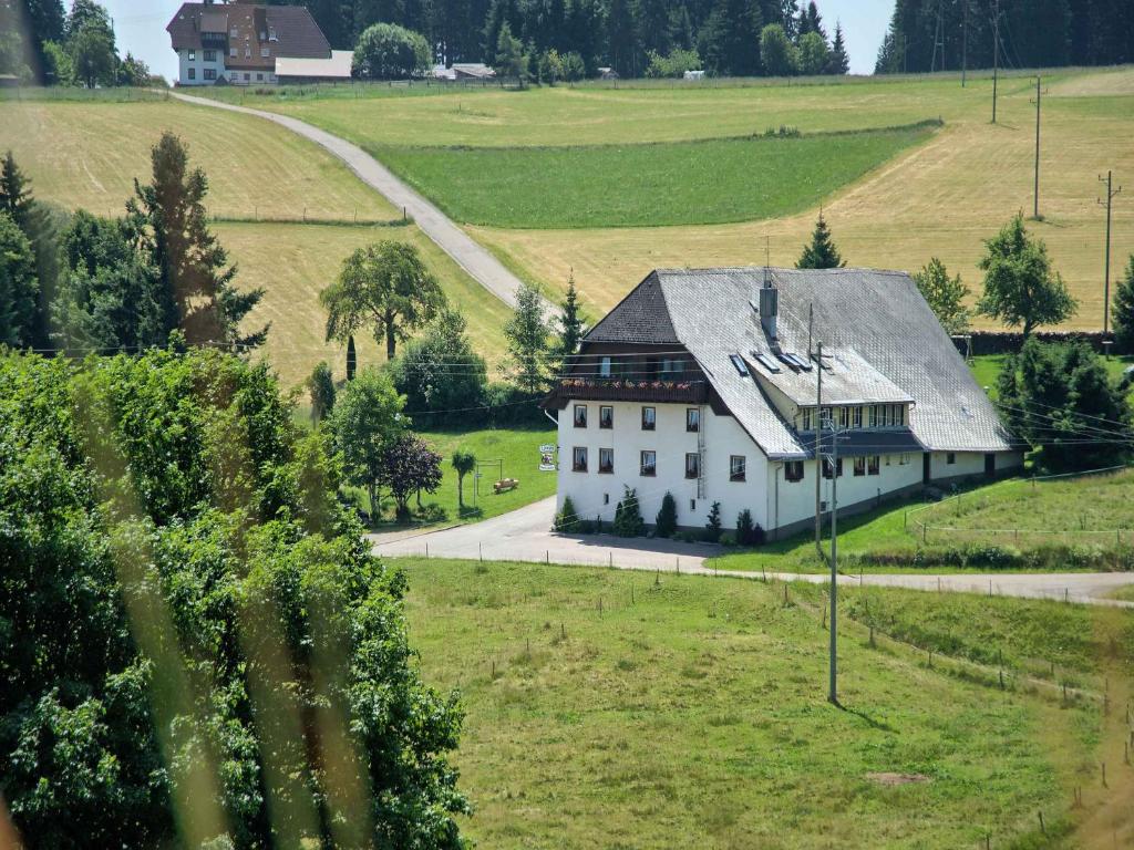 Maison d'hôtes Gasthaus Pension Zum Löwen Balzhauserweg 5, 79865 Grafenhausen