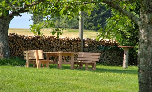 Gasthaus Pension Zum Löwen Grafenhausen allemagne