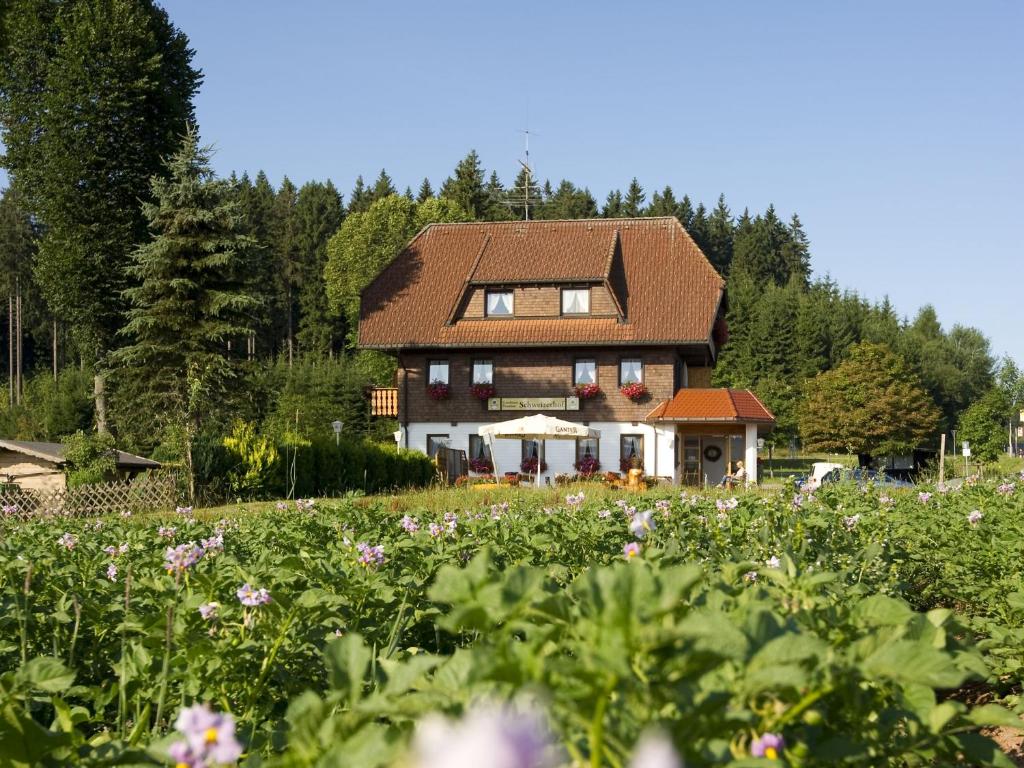 Maison d'hôtes Gasthaus Schweizerhof Jostalstraße 128, 79822 Titisee-Neustadt