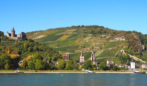 Maison d'hôtes Gasthaus Weingut Stahl Am Talblick 6 Oberwesel