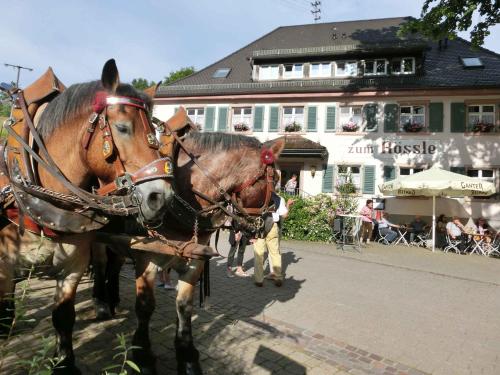 Auberge Gasthaus zum Rössle St. Ulrich 11 Bollschweil